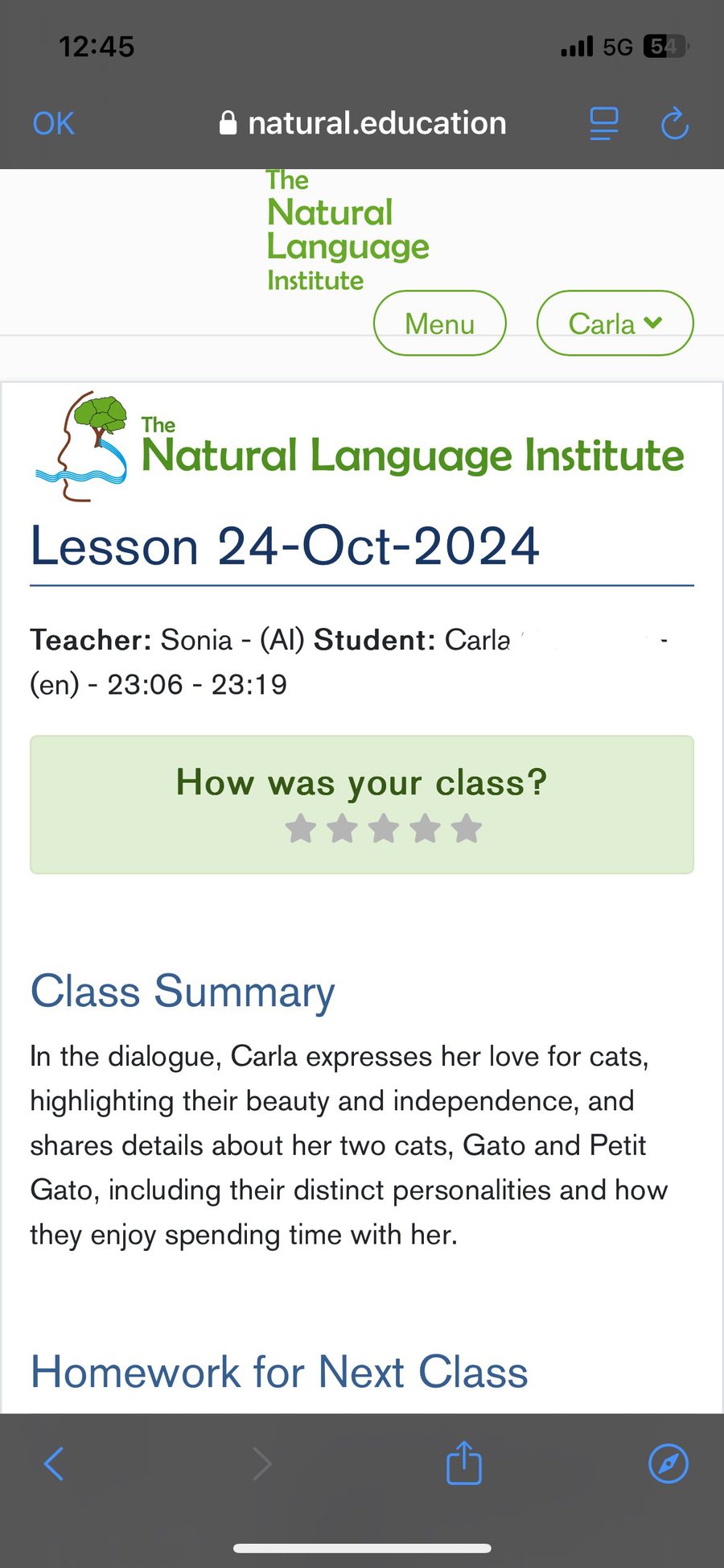 Uma lição pós-aula com feedback de vocabulário, gramática e pronúncia